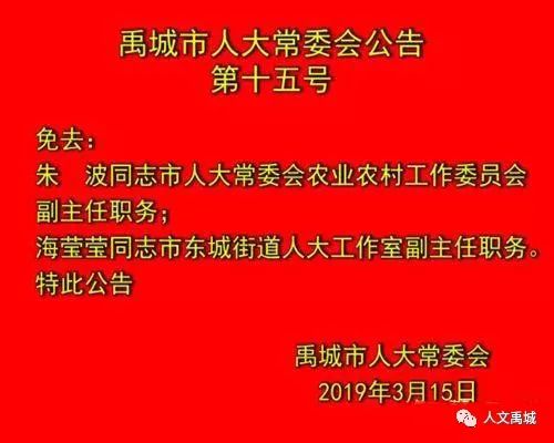 禹城市小学人事任命揭晓，未来教育新篇章的引领者